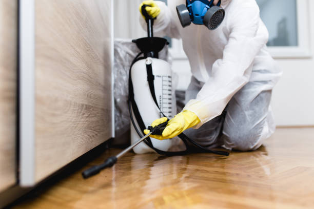 Best Commercial Pest Control Services  in Irondale, GA