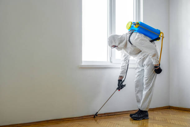 Pest Control Cost in Irondale, GA