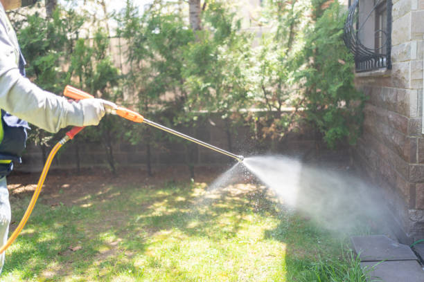 Best Wildlife Control Services  in Irondale, GA